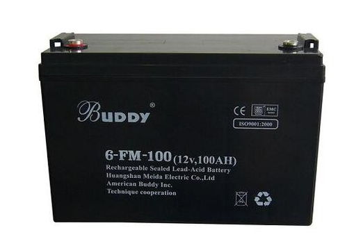 寶迪蓄電池6 fm 200 buddy系列12v200ah