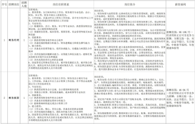 新泰市人民政府“職等你來”2025年3月金融信息技術外包崗位供需信息發布